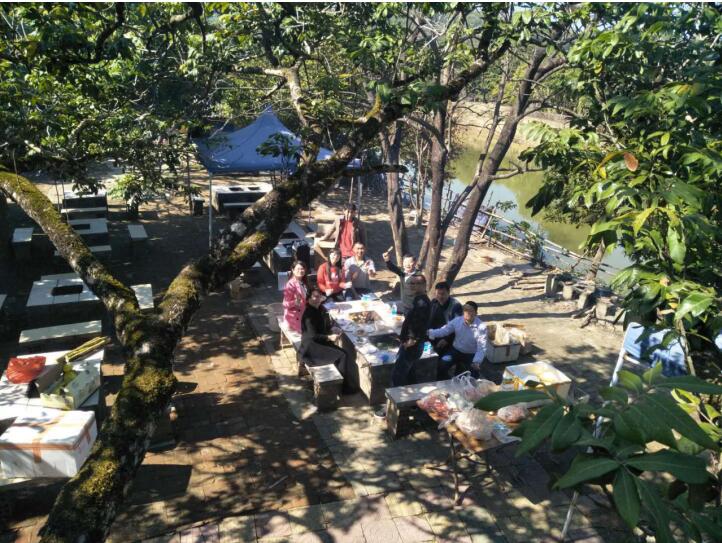 1556181096988913.jpg 3.jpg