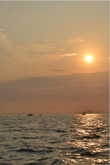 1556182227750259.jpg 12.jpg